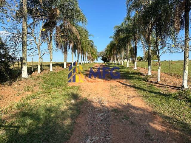 #18796 - Fazenda para Venda em Alambari - SP - 1