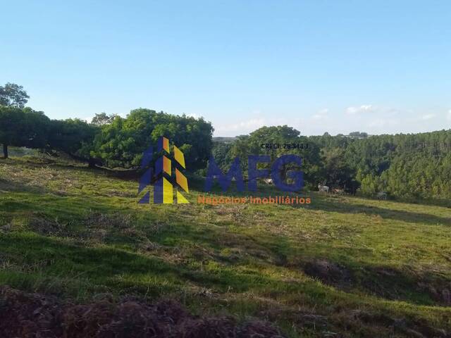 Fazenda para Venda em Barão de Antonina - 4