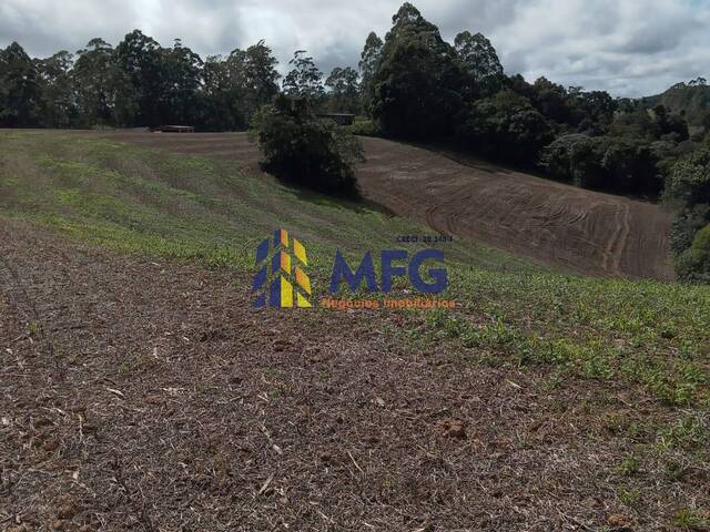 Fazenda para Venda em Ribeirão Branco - 4