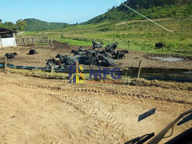 #18852 - Fazenda para Venda em Juquiá - SP - 2