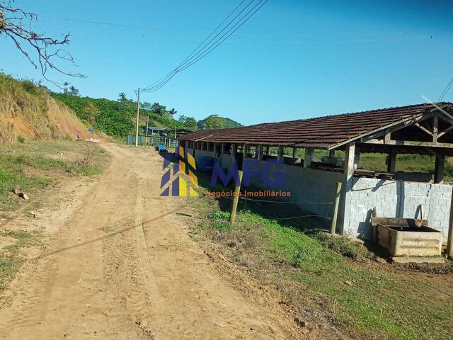 #18852 - Fazenda para Venda em Juquiá - SP - 3