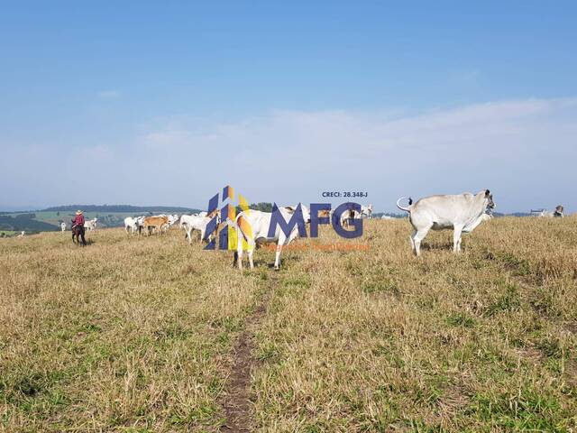 #18853 - Fazenda para Venda em Itararé - SP - 1