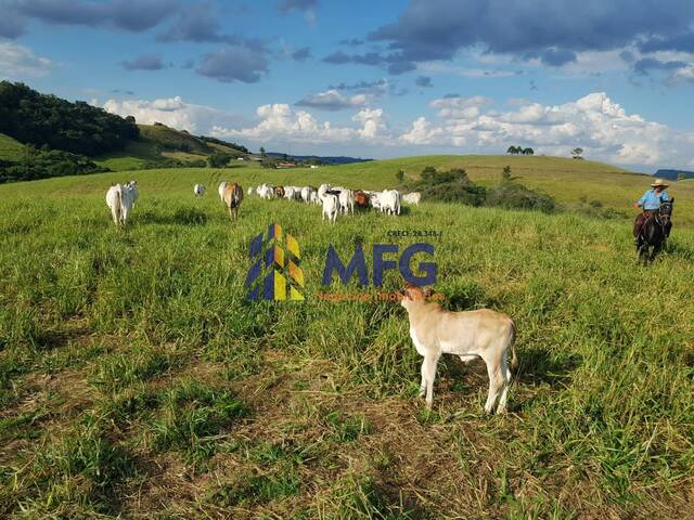 #18853 - Fazenda para Venda em Itararé - SP - 2