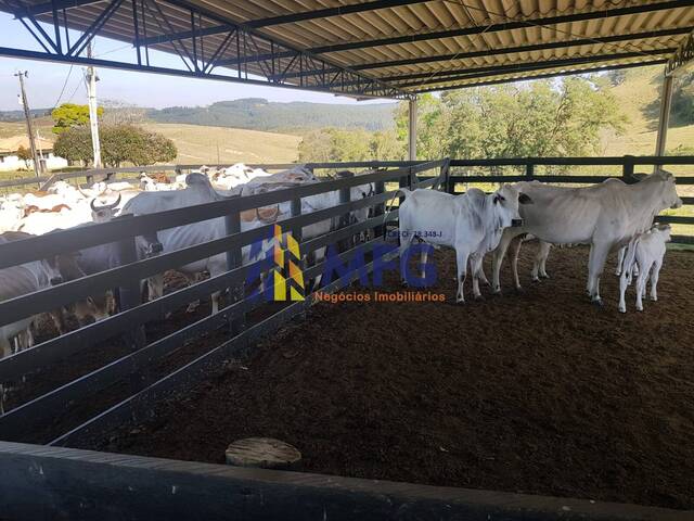 Fazenda para Venda em Itararé - 4