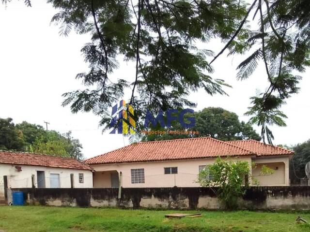 #18896 - Fazenda para Venda em Itapetininga - SP - 1