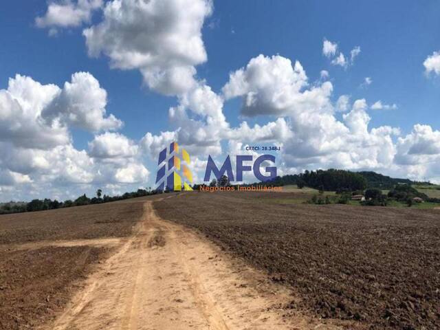 #18896 - Fazenda para Venda em Itapetininga - SP - 3