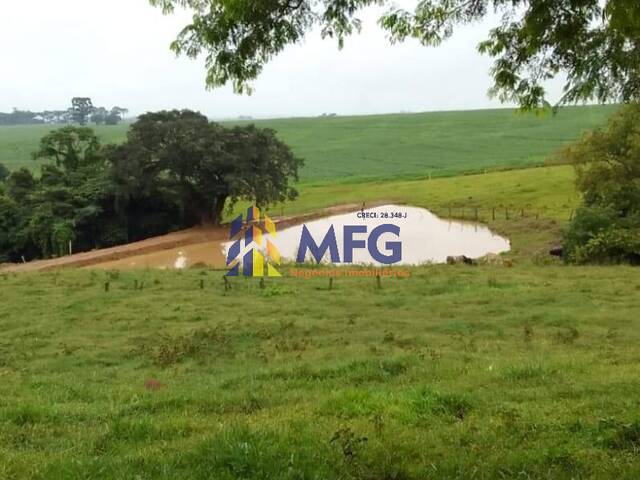 Fazenda para Venda em Itapetininga - 4