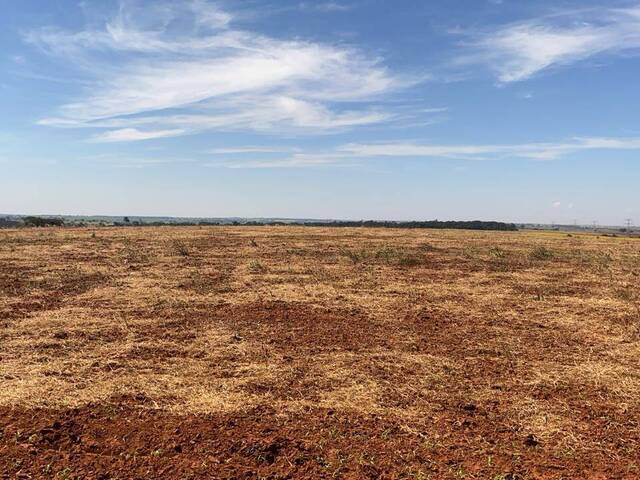 #18983 - Fazenda para Venda em Pereira Barreto - SP - 2