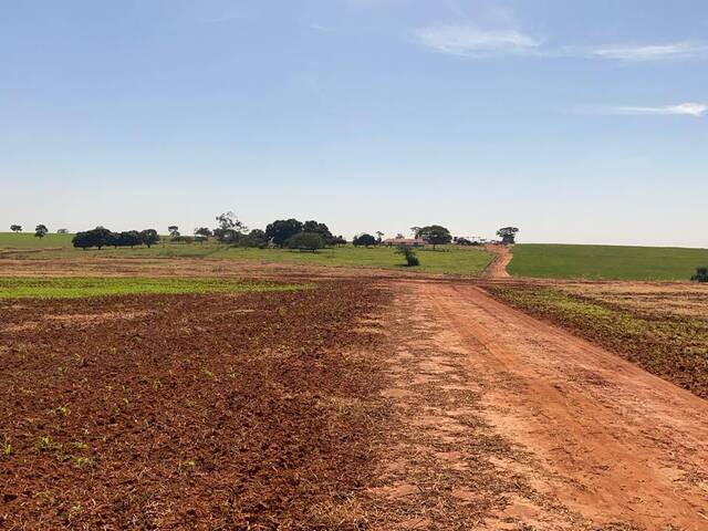 #18983 - Fazenda para Venda em Pereira Barreto - SP - 3