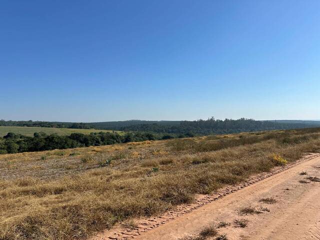 #18984 - Fazenda para Venda em Itapetininga - SP - 2