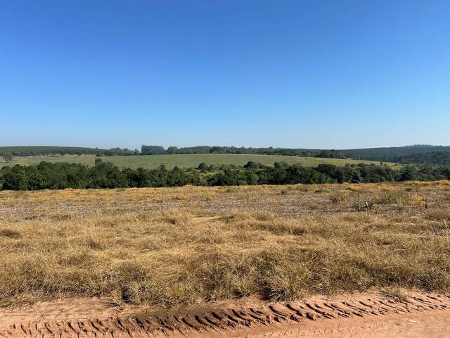 #18984 - Fazenda para Venda em Itapetininga - SP - 3