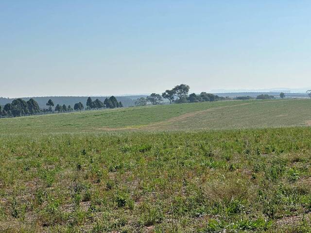 Fazenda para Venda em Itapetininga - 4