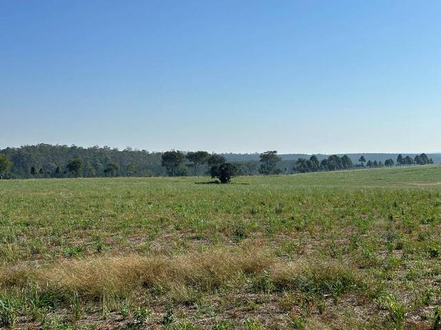 Fazenda para Venda em Itapetininga - 5