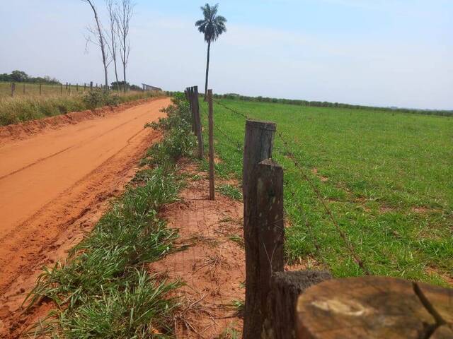 #18994 - Fazenda para Venda em Guarani d`Oeste - SP - 2