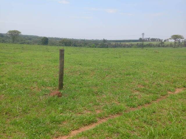 #18994 - Fazenda para Venda em Guarani d`Oeste - SP - 1