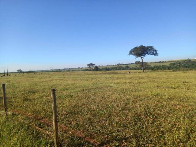 #18994 - Fazenda para Venda em Guarani d`Oeste - SP - 3