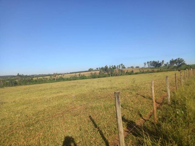 Fazenda para Venda em Guarani d`Oeste - 4