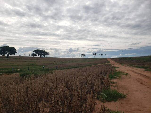 #18996 - Fazenda para Venda em Zacarias - SP - 1