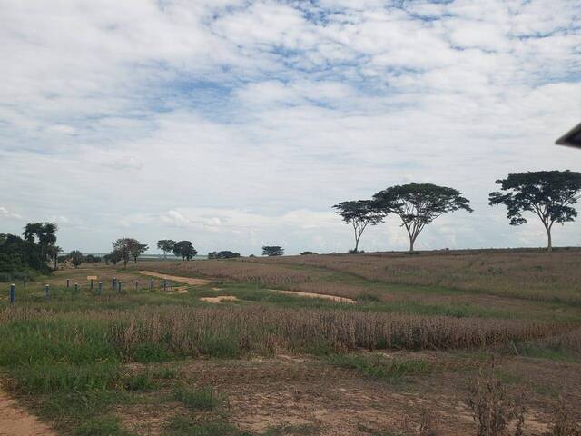 #18996 - Fazenda para Venda em Zacarias - SP - 3