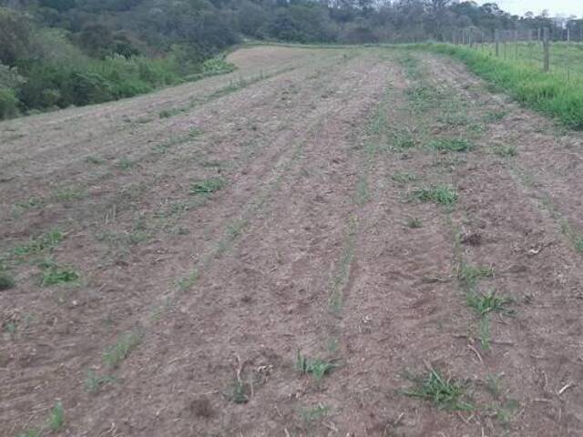 Fazenda para Venda em Sarapuí - 4