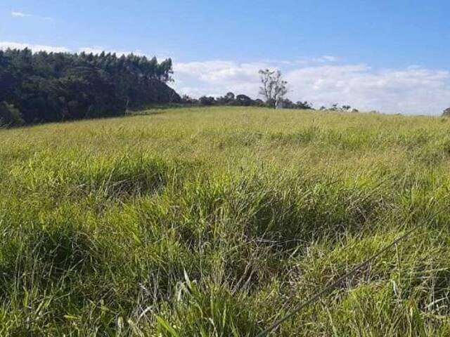 #18999 - Fazenda para Venda em Sarapuí - SP - 2