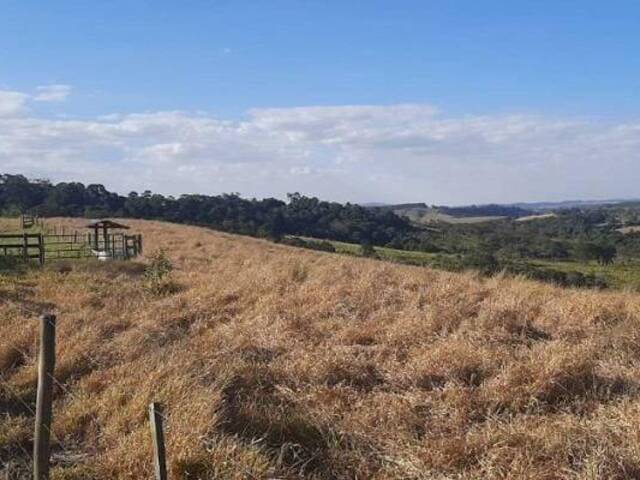 #18999 - Fazenda para Venda em Sarapuí - SP - 3