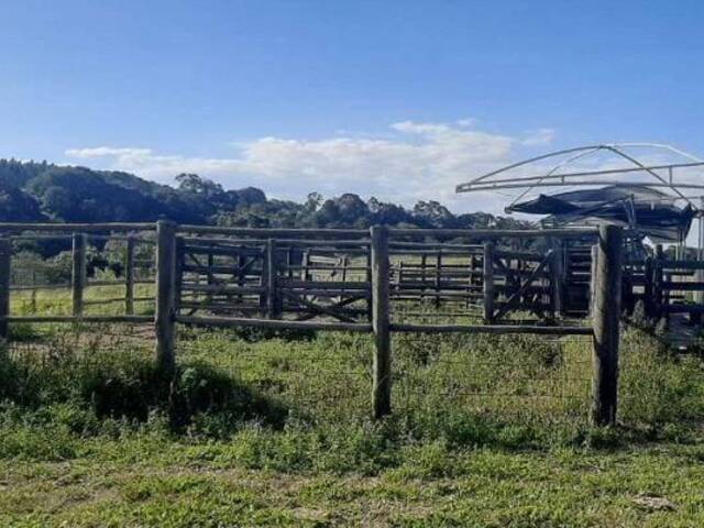 Fazenda para Venda em Sarapuí - 5