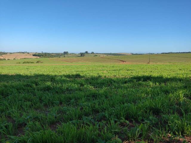 #19007 - Fazenda para Venda em Alambari - SP - 1