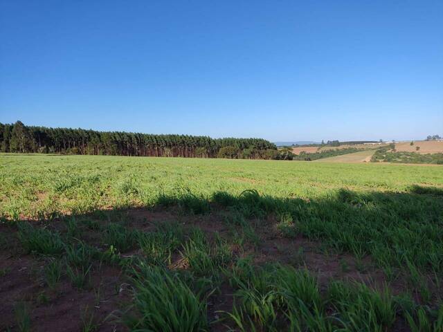 #19007 - Fazenda para Venda em Alambari - SP - 2