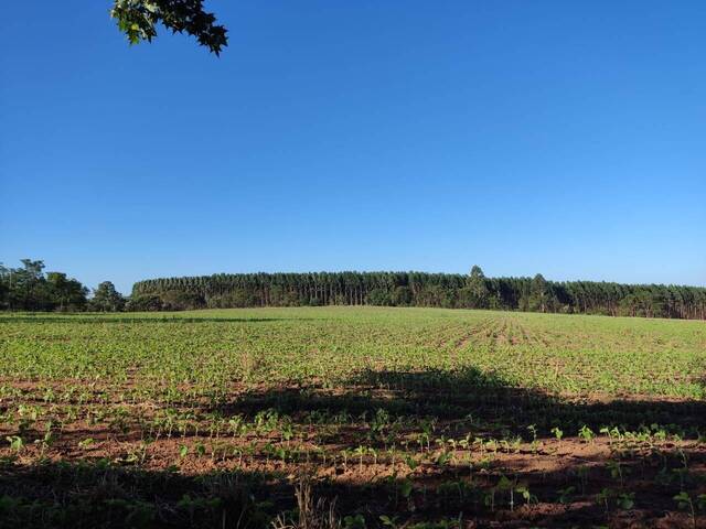 #19007 - Fazenda para Venda em Alambari - SP - 3