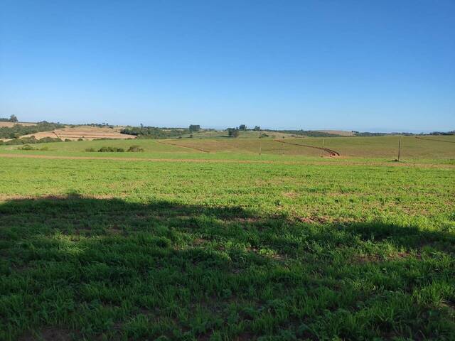 Fazenda para Venda em Alambari - 5