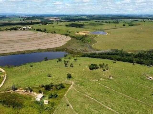 #19008 - Fazenda para Venda em Capela do Alto - SP - 1