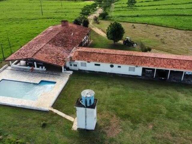 #19008 - Fazenda para Venda em Capela do Alto - SP - 3