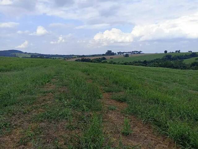 #19015 - Sítio para Venda em Itapetininga - SP - 2