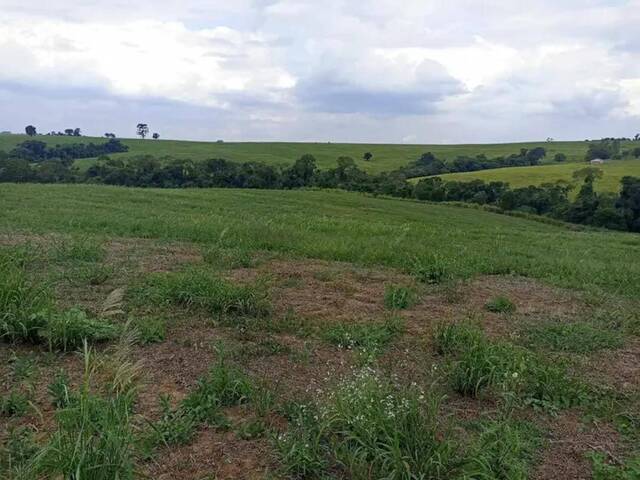 #19015 - Sítio para Venda em Itapetininga - SP - 3