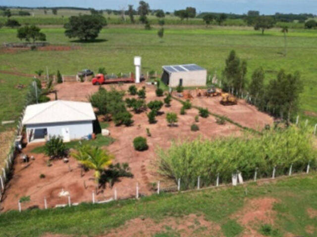 #19032 - Fazenda para Venda em Pereira Barreto - SP - 1