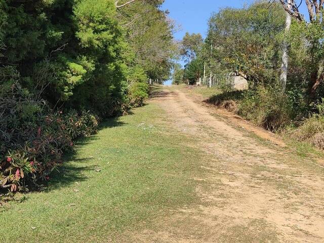 Terreno para Venda em Araçoiaba da Serra - 4