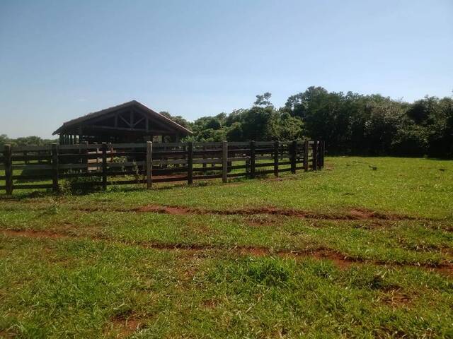 #19042 - Fazenda para Venda em Avaré - SP - 1