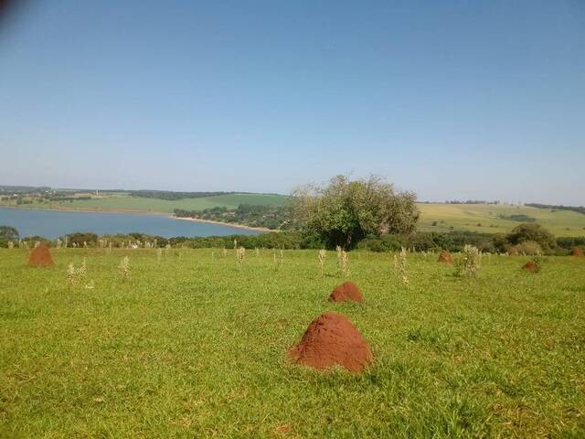 #19042 - Fazenda para Venda em Avaré - SP - 2