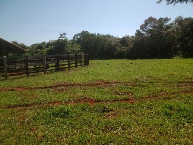 Fazenda para Venda em Avaré - 4