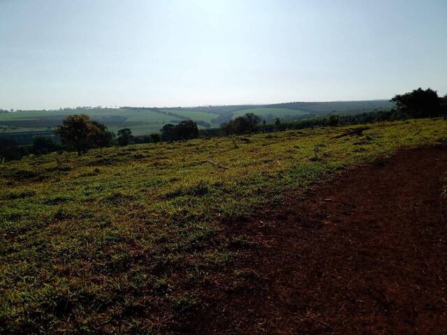 #19042 - Fazenda para Venda em Avaré - SP - 3