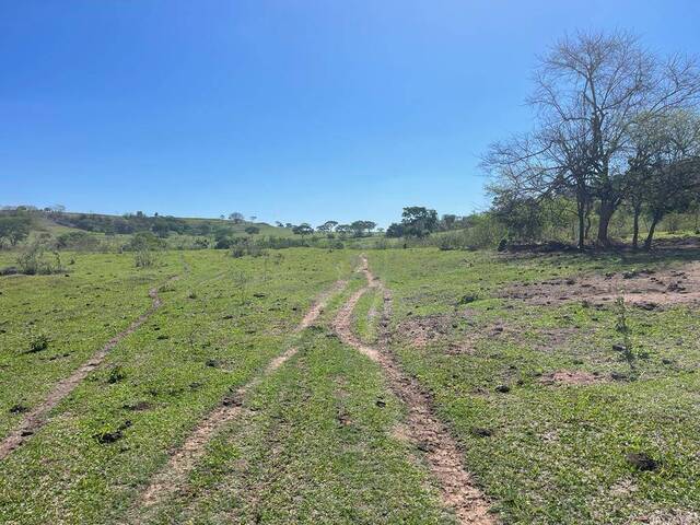 #19049 - Sítio para Venda em Quintana - SP - 1