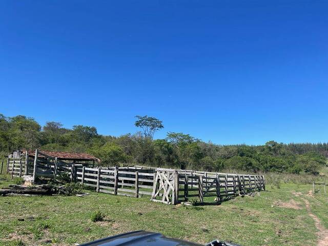 #19049 - Sítio para Venda em Quintana - SP - 2