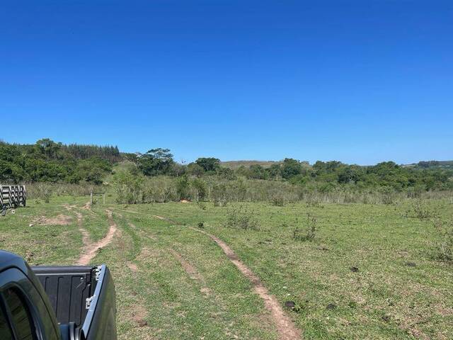 #19049 - Sítio para Venda em Quintana - SP - 3