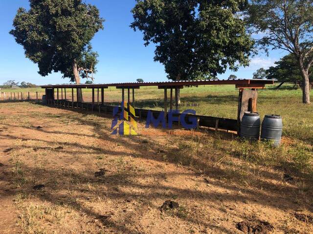 #19055 - Fazenda para Venda em São Miguel do Araguaia - GO - 2