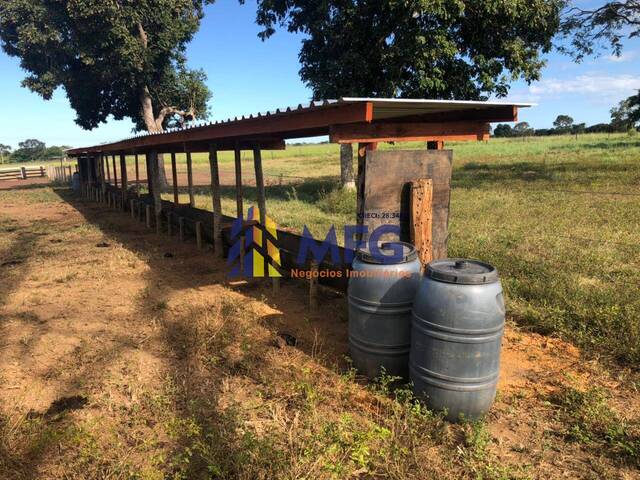 Fazenda para Venda em São Miguel do Araguaia - 5