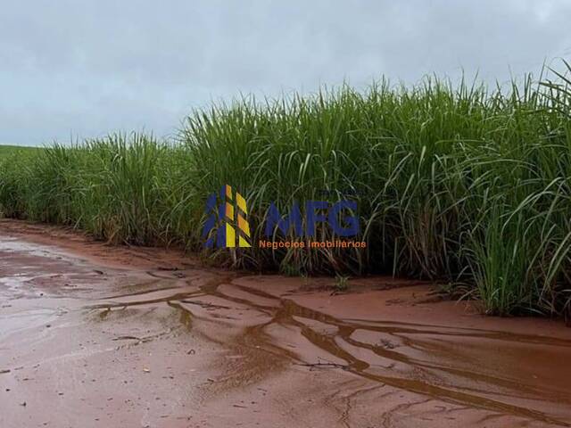 #19062 - Fazenda para Venda em Iacanga - SP - 2