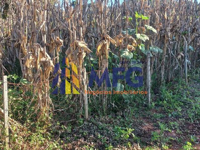 #16717 - Terreno para Venda em Barão de Antonina - SP - 3